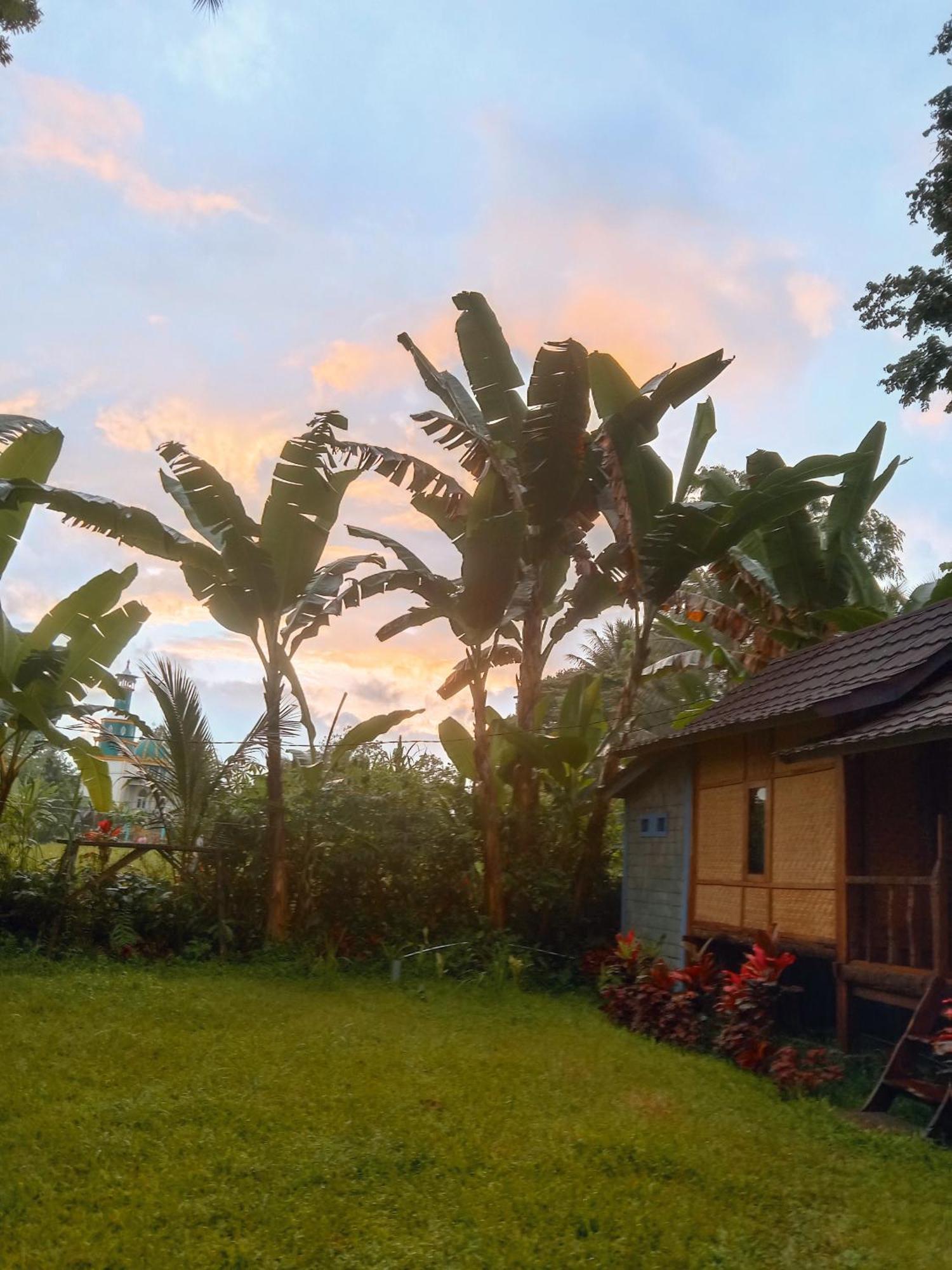 Banana Bungalows Tetebatu Camera foto