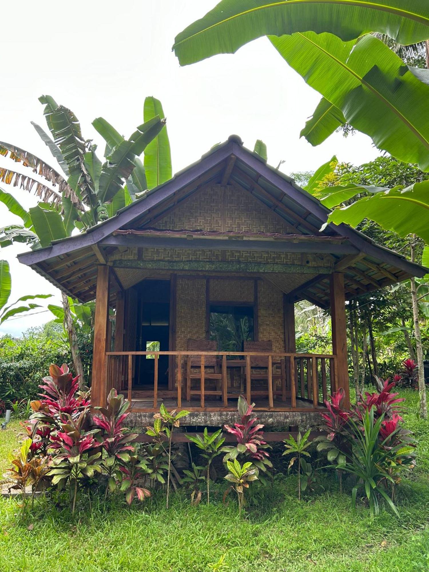 Banana Bungalows Tetebatu Camera foto